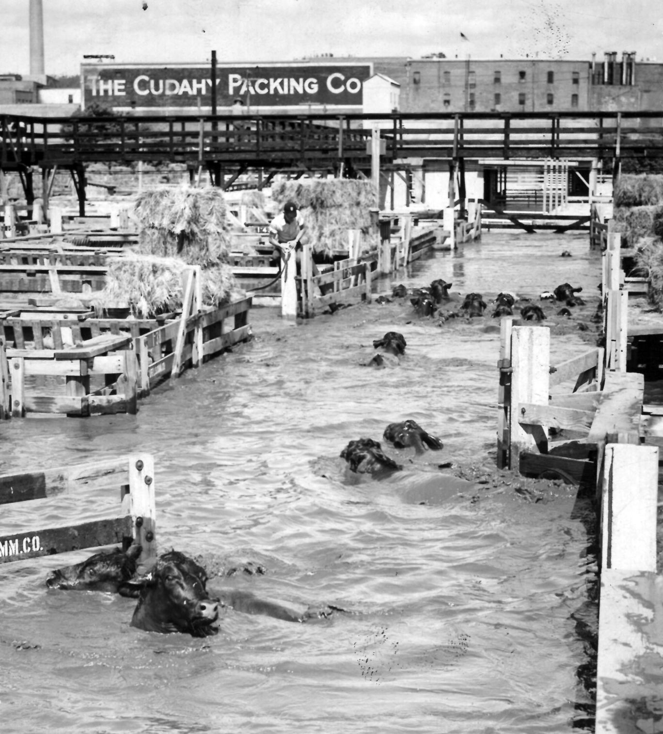Floyd River Flood 1953